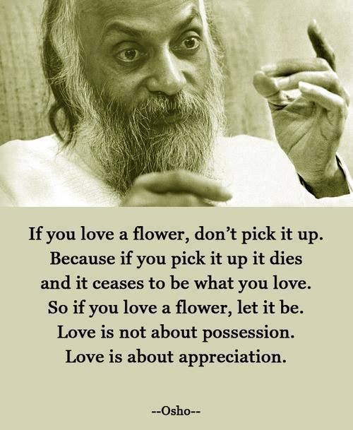 Osho - If you love a flower, don’t pick it up. Because if you pick it up it dies and it ceases to be what you love. So if you love a flower, let it be