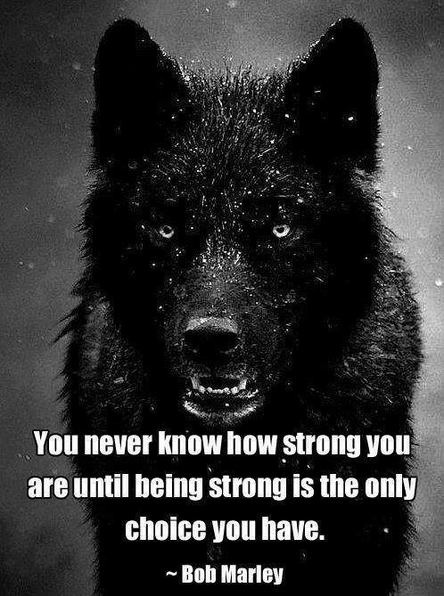 Bob Marley - You never know how strong you are until..