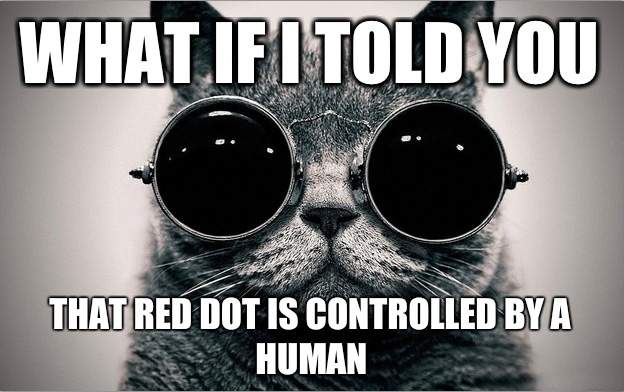 Cat - What if I told you that red dot...