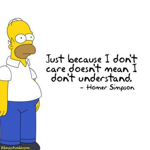 Homer Simpson - Just because I don't care doesn't mean I don't understand