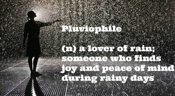 Pluviophile - Rain lover
