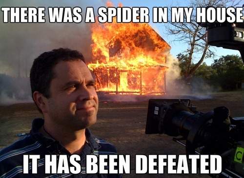 There was a spider in my house it has been defeated
