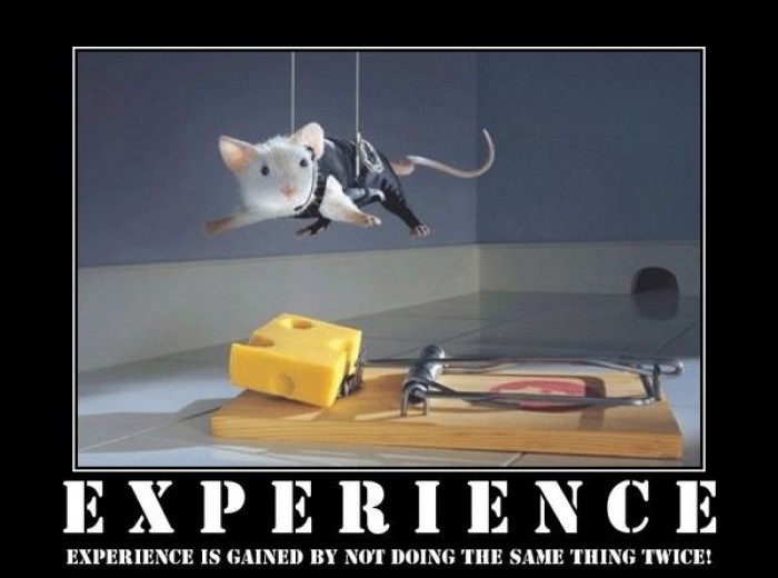 Experience is gained by not doing the same thing twice.