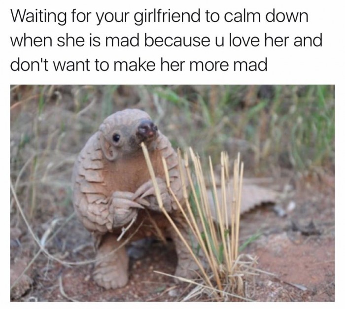 Waiting for your girlfriend to calm down...