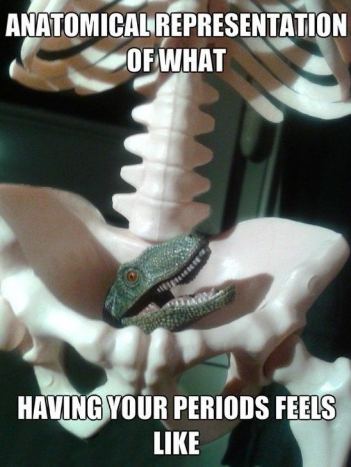 Anatomical representation of what having your periods feels like.