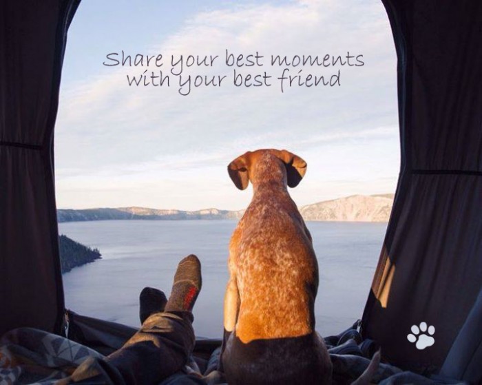 Share your best moments with your best friend