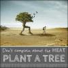 Don't complain about the heat, plant a tree