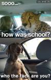 Gepard and Dog In Car - Sooo.. how was school? Who the fuck are you ?