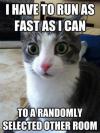 Cat - I Have to run as fast as I can to a randomly selected other room