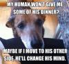 Dog - My human won't give me some of his dinner.