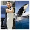 Kim Kardashian vs. Killer whale 