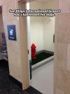 San Diego International Airport has a bathroom for dogs 