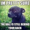Suspicious Dog - I'm Pretty Sure The Ball Is Still Behind Your Back 