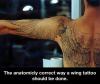 The anatomicly correct way a wing tattoo should be done.