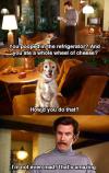 Will Ferrell and pooping dog