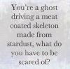 You're a ghost drivng a meat coated skeleton made from stardust