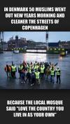 In Denmark 50 Muslims went out New Years morning and cleaner the streets of Copenhagen