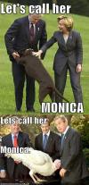Let's Call Her Monica