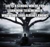 Life is a school, where you learn how to...