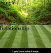 Relationship vs. single.  You know what I mean!