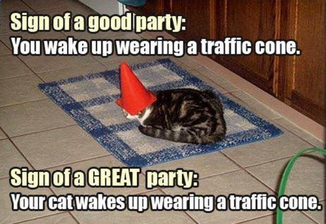 Sing of a good party and sign of a great party 