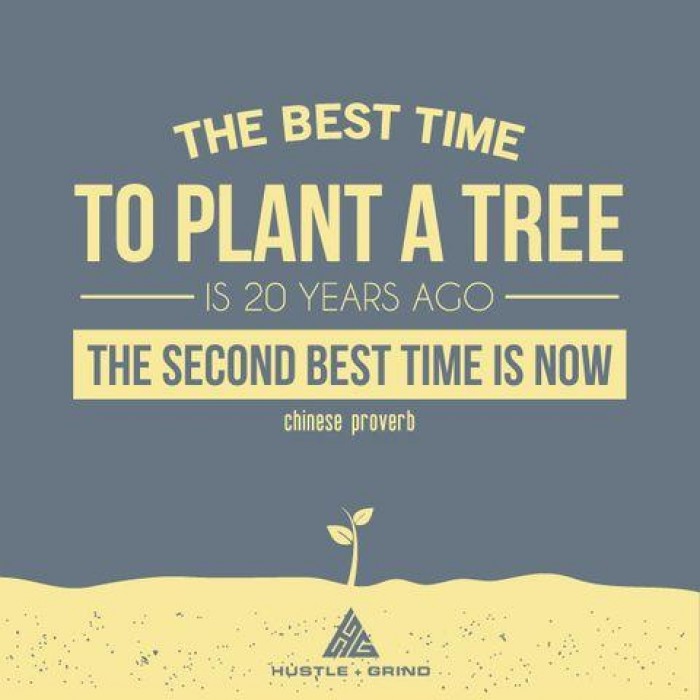 The Best Time To Plant A Tree