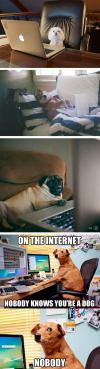 On the Internet nobody knows you
